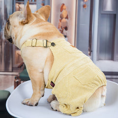 Chic Spring-Summer Pet Attire Series