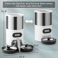 Automated Dual Meal Pet Server