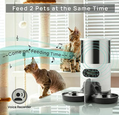 Automated Dual Meal Pet Server