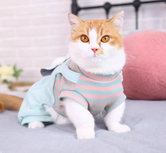 Anti Hair Loss Kitty Clothes for Four-Legged Pets