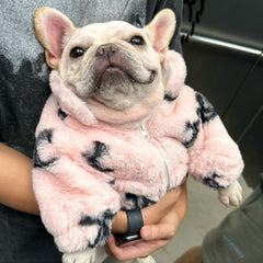 Velvet Princess Kitty Coat