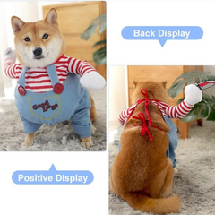 Stylish Halloween Pet Trio Set