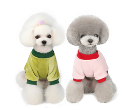 Elegant Fruit-Inspired Dog Attire