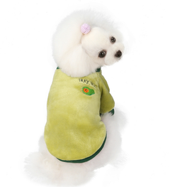 Elegant Fruit-Inspired Dog Attire