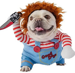 Stylish Halloween Pet Trio Set