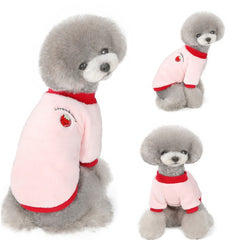 Elegant Fruit-Inspired Dog Attire