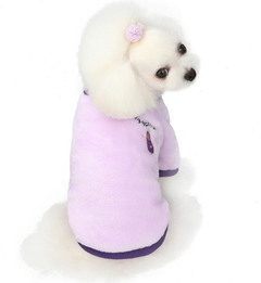 Elegant Fruit-Inspired Dog Attire