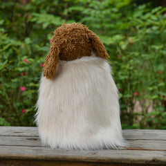 Elegant Pet Apparel Collection